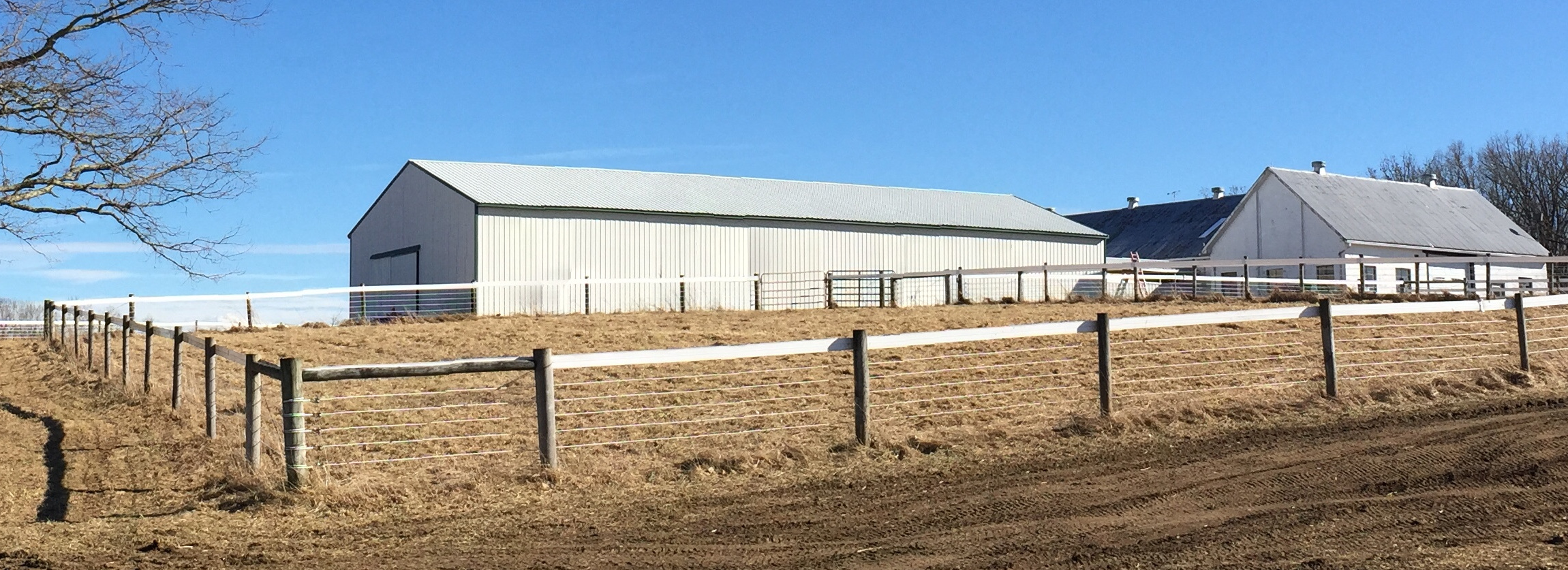 Wire fence at horse farm