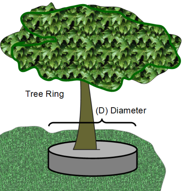 Tree Ring Calc
