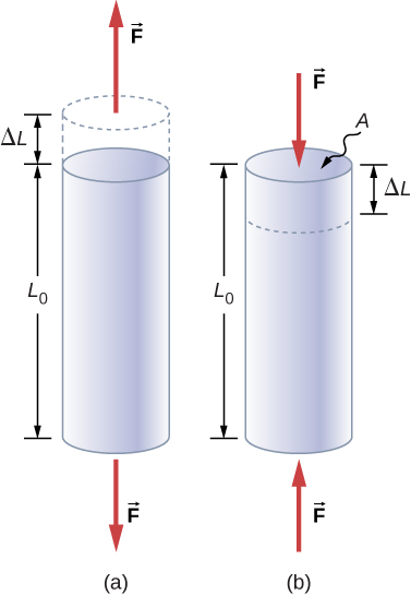Tensile (a) and Compression (b)
