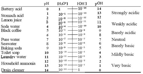 /attachments/722d9a8e-4b8a-11e7-9770-bc764e2038f2/500px-PH_&_pOH_misc.jpg