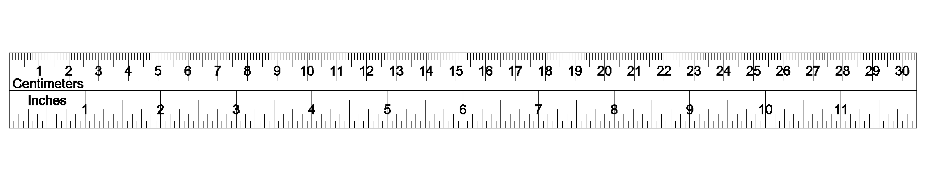 typical ruler