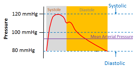 /attachments/f10687ee-d5bd-11e3-b7aa-bc764e2038f2/MeanArterialPressureMAP-illustration.png